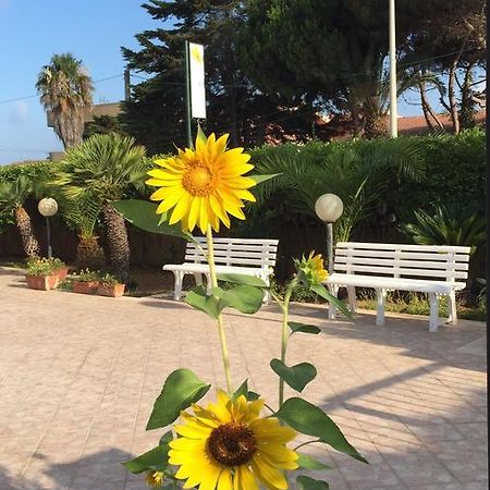 سانتا كروتْشّي كاميرينا B&B Fiori Gialli Caucana المظهر الخارجي الصورة