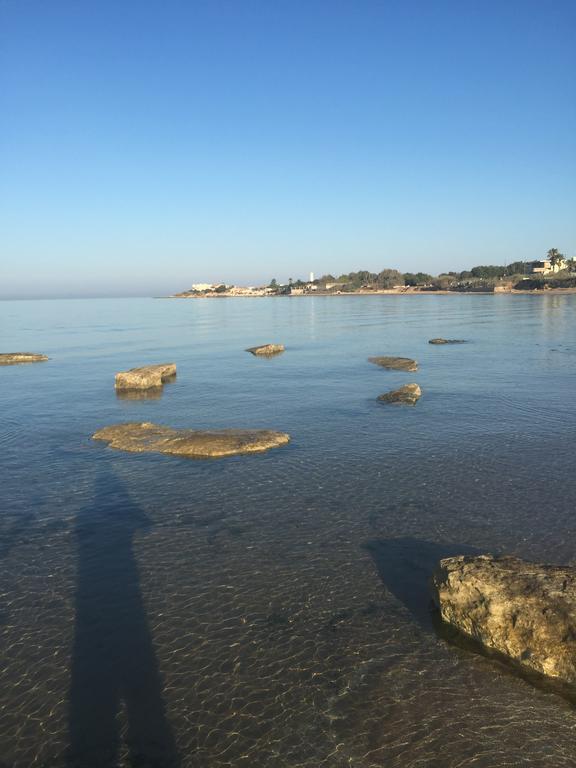 سانتا كروتْشّي كاميرينا B&B Fiori Gialli Caucana المظهر الخارجي الصورة